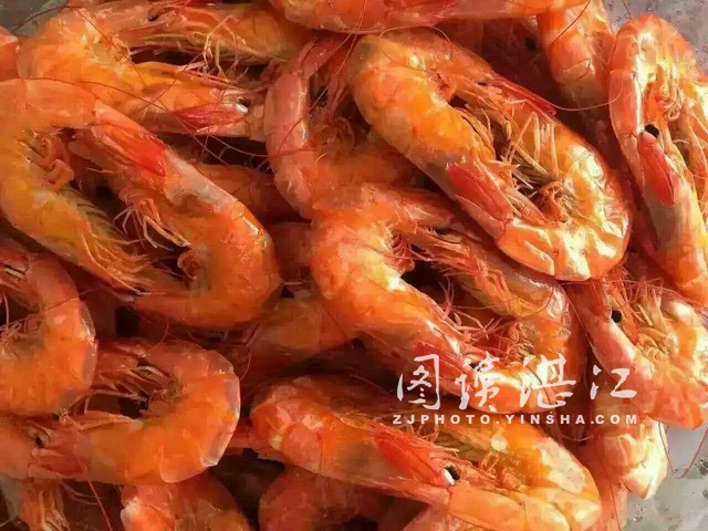 来自阳光的味道--雷州半岛的鱼干