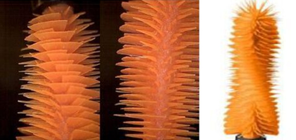 maxfactor粉底液蜜丝佛陀,maxfactor蜜丝佛陀三色修容盘