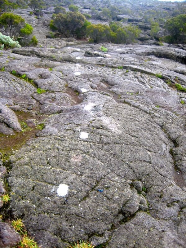 留尼汪有什么,留尼汪英文怎么读