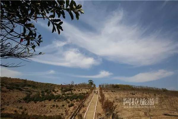 宁波第一大岛是什么岛,宁波梅山岛哪个区