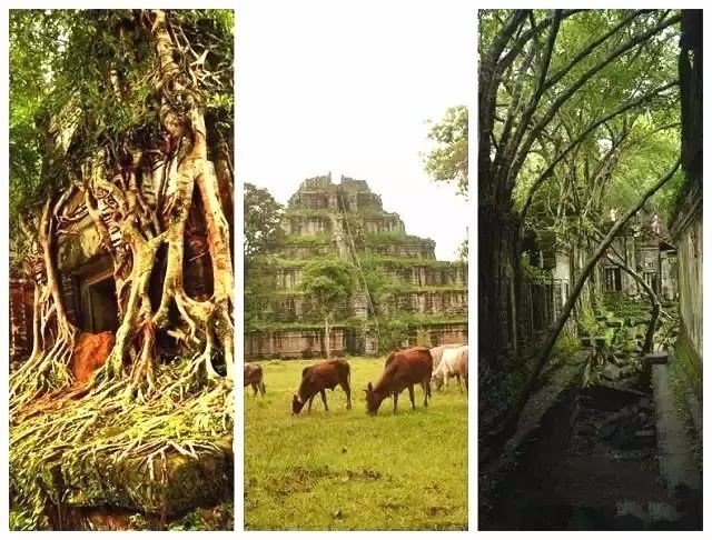 吳哥特色游-贡开,崩密列