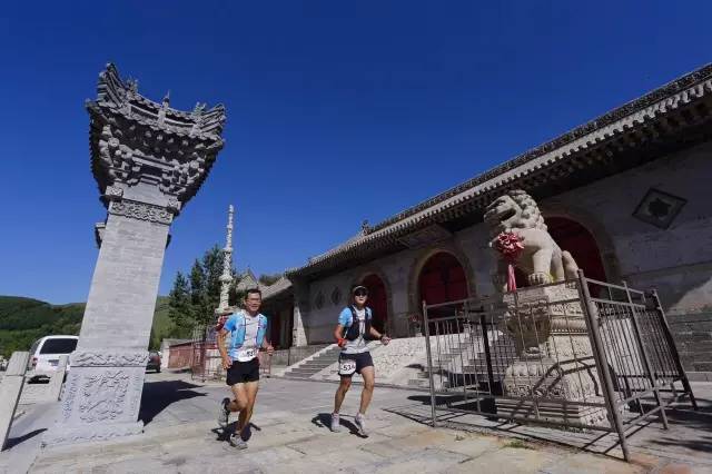 夏季跑步运动t恤,跑步夏季T恤