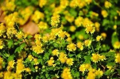 夏季感冒怎么办?