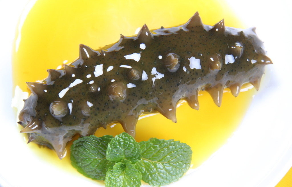 哪些人不宜吃海参和鸡蛋,为什么有痰的人不宜吃海参