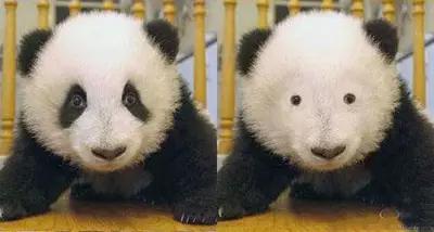 不戴太阳镜的夏天,不戴墨镜的夏天