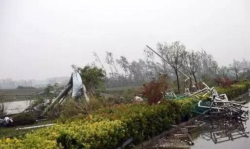 救命措施海报图,救命贴视频大全