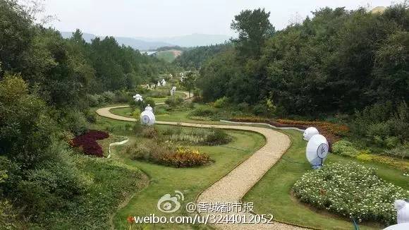 咸宁将建通用机场看完这条微信，把不可错过的16条咸宁新闻都补上！