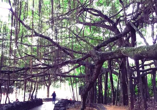 被遗忘的海南,海南被遗忘的浪漫之地