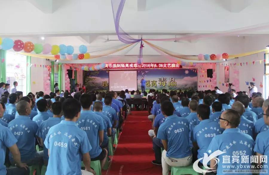 国际禁毒日常见毒品种类及危害,国际禁毒日毒品危害