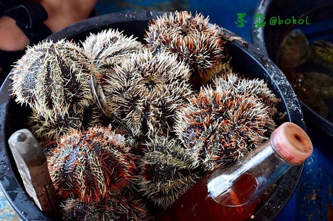 宿务薄荷锡岛,宿务薄荷瀑布