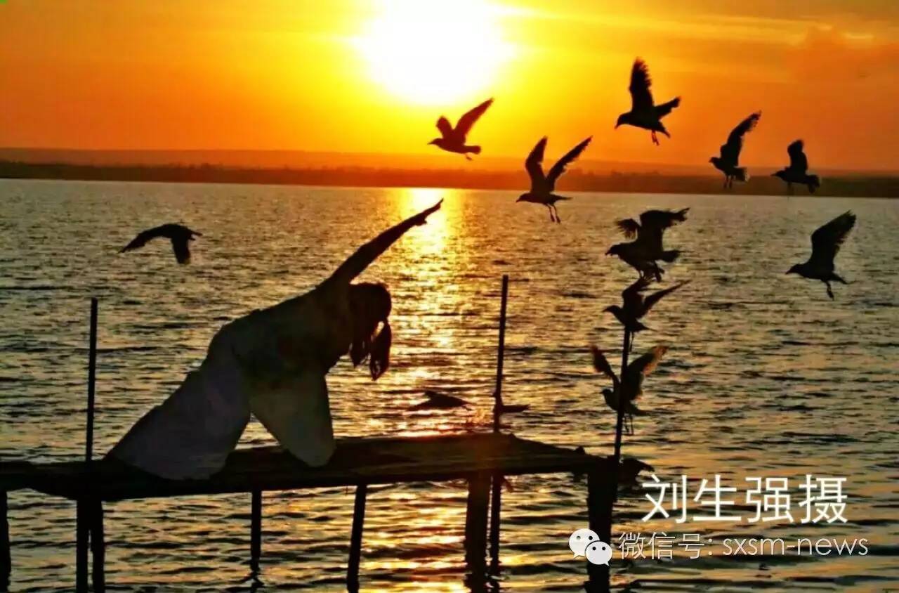 炎炎夏日，小伙伴们神木这几处清凉避暑胜地你去了吗？