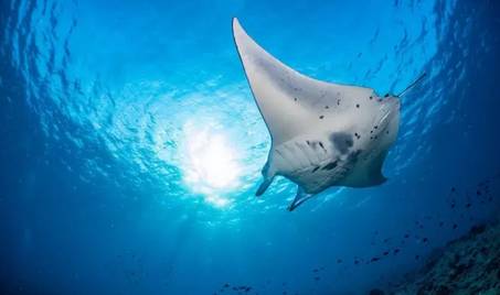 虽然你穷但是什么都懂,虽然你穷但是我爱你