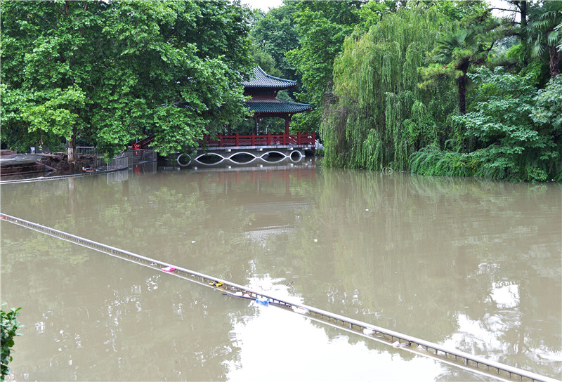 读图|沙袋筑防、架设人行栈桥...我们在这里与水抗争