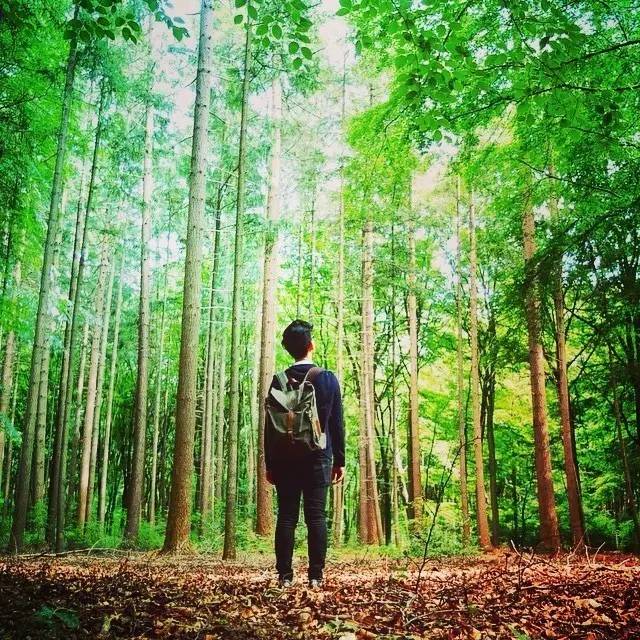 老板出门谈生意带什么包 (商务人士背什么包合适)