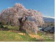 OLYMPUSPEN-F开发团队访谈