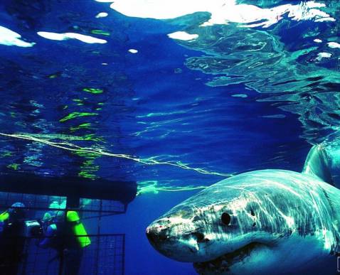 朝阳区的“北京之最”你知道几个？