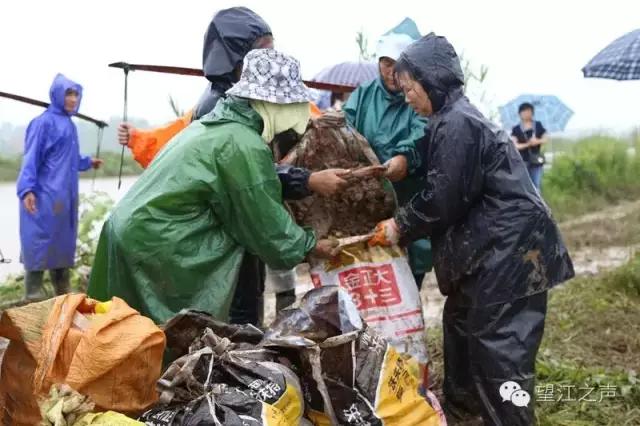 巾帼不让须眉英姿飒爽花木兰,巾帼不让须眉的女英雄花木兰