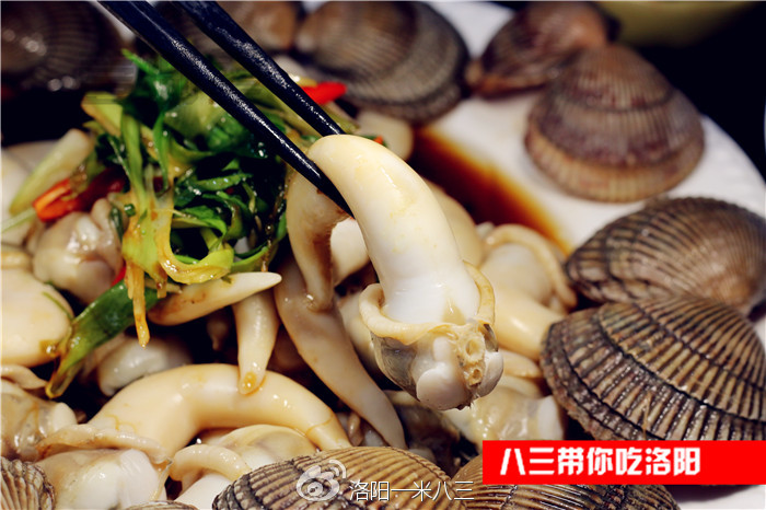 八三带你吃洛阳卖海鲜的处女座老板