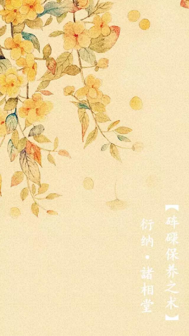 砗磲雕刻大师,贝壳珠项链女款