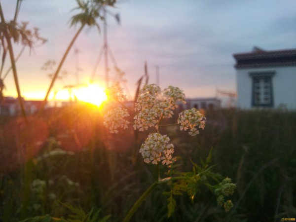 青海小环线黑马河看日出最佳地点,青海湖断崖看日出攻略