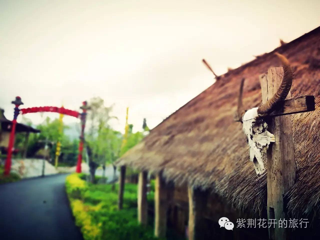 丽江飞越峡谷,丽江飞越