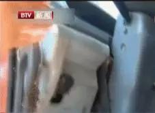 这智商，还有脸遮挡车牌？