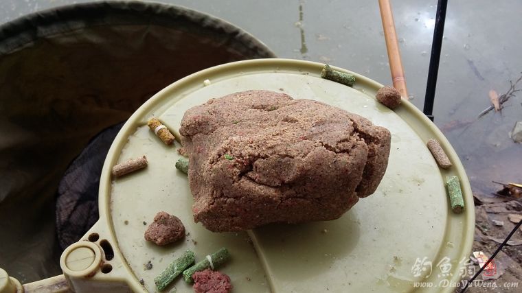 钓草鱼罗非鱼闹窝怎么办,准备钓黄蜂鱼