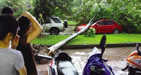 台风车辆注意事项和安全防护,台风天行车攻略