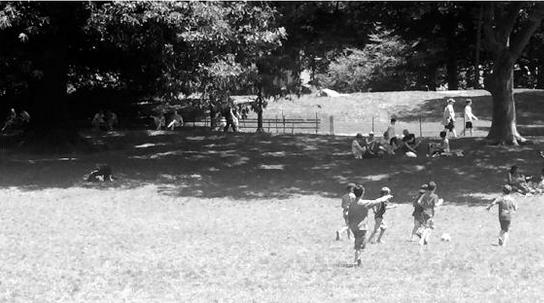 美国足球发展史,美国足球的发展史