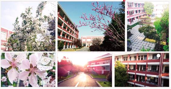 相城未来有什么好学校,相城有什么高校