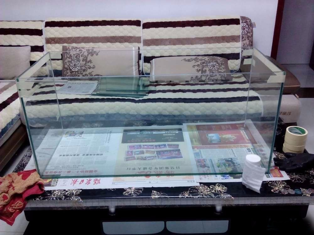 没养鱼有油膜,没养鱼只是在岸上走