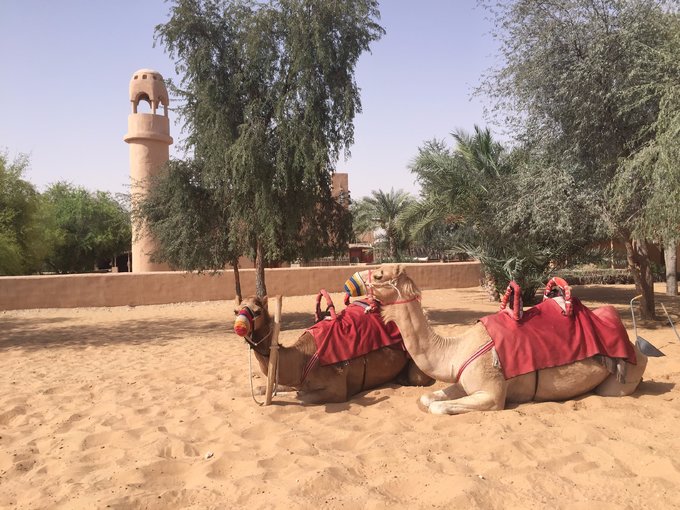 迪拜阿布扎比5天旅游攻略,迪拜阿布扎比一日游攻略