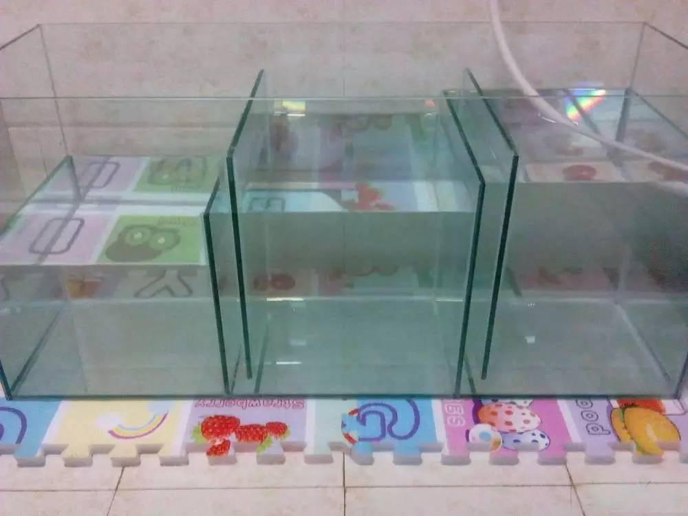 没养鱼有油膜,没养鱼只是在岸上走