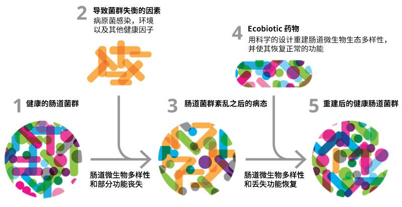 肠道微生物调理,肠道微生物治疗未知之谜