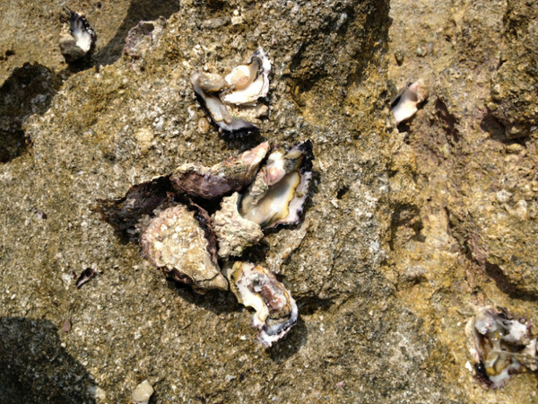 西沙群岛迷人的地方,边疆有个美丽的地方