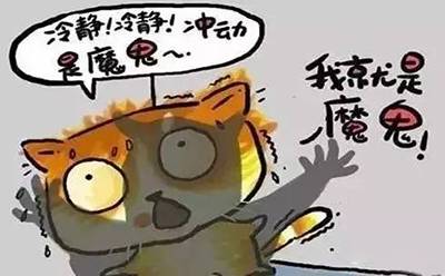 福安90后妈妈社交群卖淫秽视频蕉城男子酒后一拳赔4万5