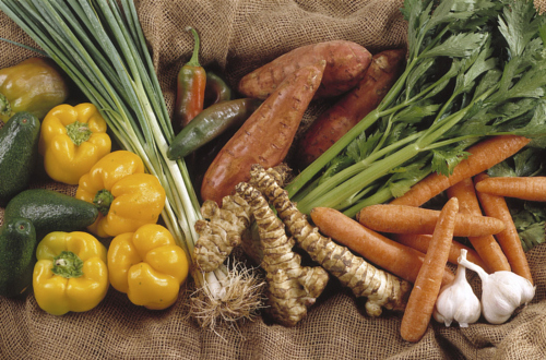 怎么让狗粮变干净,如何制作或挑选一种合适的狗粮