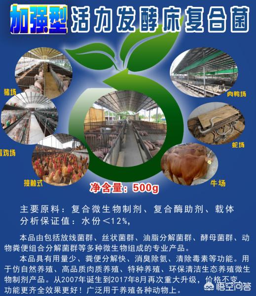 新型养猪漏粪板,垫料发酵床养猪怎么做