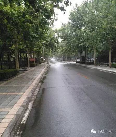 北京新鲜事儿最新视频,北京今日头条新闻交通执法