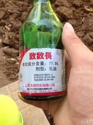 敌敌畏杀虱子抹头上对头皮有害没,在头上喷洒敌敌畏治虱子的危害