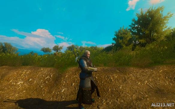 巫师3狂猎各类流派图,巫师3各流派攻略