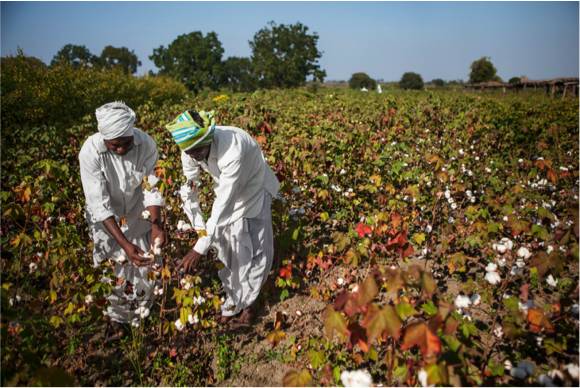 burton和salomon单板,burton和bataleon哪个更好