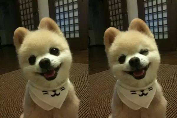 最6问答|独得蚊子专宠，怎样才能叮过无痕？