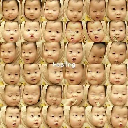 wo中了一种叫作“宋民国”的毒