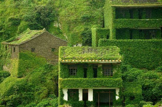 枸杞岛游记,枸杞岛两天一夜最全旅游攻略