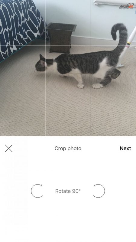 p图滤镜调色高级感轻颜相机,复古p图滤镜软件