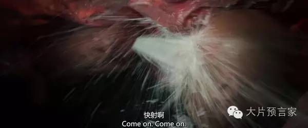 英国佬的政治素养怎么样,英国佬的政治素养