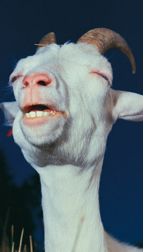 现在都还不知道?身边生物的寿命(饲养编)