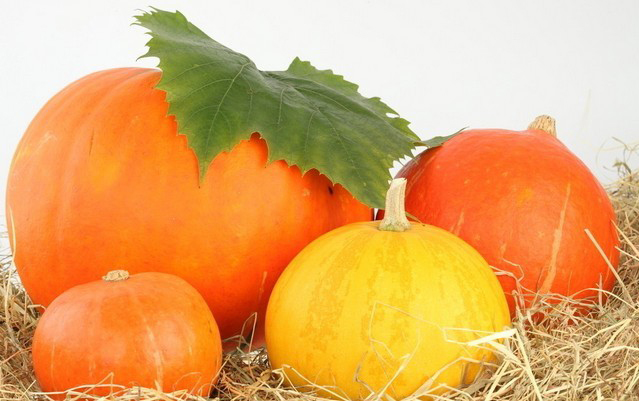 糖尿病肾病为什么要低蛋白饮食,糖尿病肾病透析后怎么控制饮食