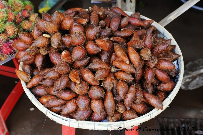 柬埔寨游玩推荐,柬埔寨旅游必去的九大绝佳景点